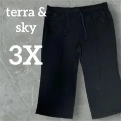 ✨️海外古着✨️terra & sky【3X】ブラックパンツ 大きめ ストレッチ