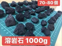 黒溶岩石 Lava Rockアクアリウム低床 ろ材 観葉植物多肉植物 水草