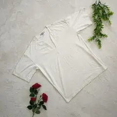 Item thumbnail for item 5cd5e6ff-5ac6-4c58-ab88-0d827bb488f3