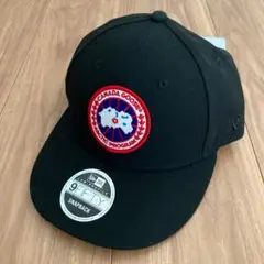 Item thumbnail for item e7d6bb52-508c-46c3-a013-dcac685dac92