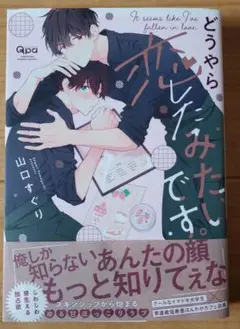 どうやら恋したみたいです。 山口すぐり
