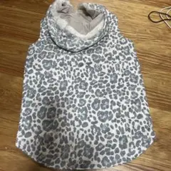 Item thumbnail for item 84f1207e-001e-48c1-b32a-3984724ccdd9