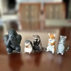 坐禅ガチャ