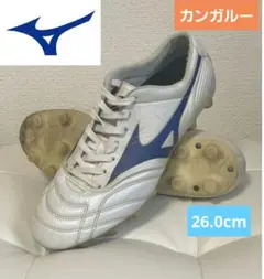 Item thumbnail for item 02024507-0ea8-4d5d-a173-26ac35ee6cc6