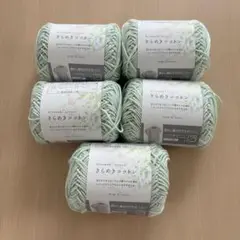 【新品未使用】きらめきコットン 毛糸 ミント 5玉 まとめ 20g×5