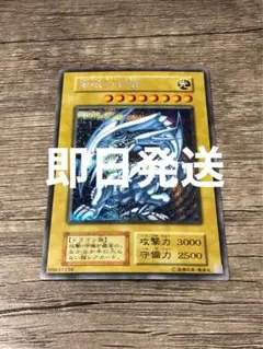 青眼の白龍　ブルシク