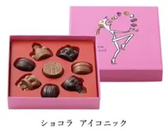 チョコレート ピエールエルメ ショコラ アイコニック チョコ