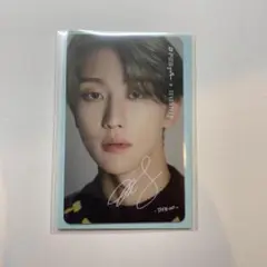 dfesta羽田トレカ the8 ハオ seventeen