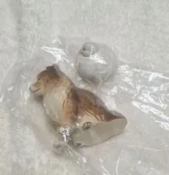 アヒルと犬　カプセルトイ　未開封