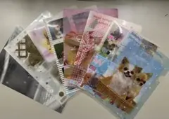 Item thumbnail for item a682d244-d338-466f-9670-5467307cccff