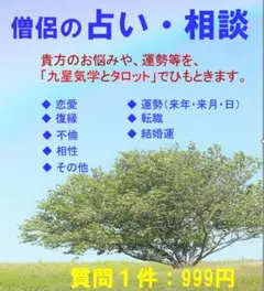 占い・相談 (質問ひとつ999円 恋愛・不倫・復縁・仕事・運勢など)