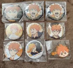 ハイキュー 日向翔陽セット