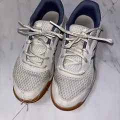 Item thumbnail for item d4128ebb-3c63-426d-88b2-86fc34956acc