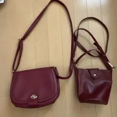 お値下げ‼️レディース　バッグ 2点セット