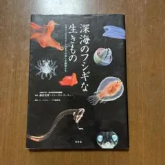 深海のフシギな生きもの 幻冬舎 藤倉克則