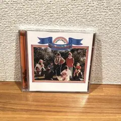ビーチボーイズ/サンフラワー、サーフズアップ