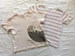 Item thumbnail for item 767ae3f0-07c2-4344-b97b-0fb0ddecf673