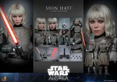 Item thumbnail for item dc029266-7e1d-49ec-b63b-5814c47f6884