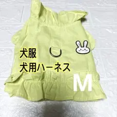 Item thumbnail for item 64f122f2-3108-49e3-b440-d9b19630c92f