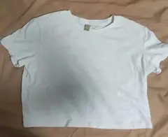ショート丈 白Tシャツ