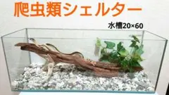 爬虫類、両生類、小動物シェルター流木