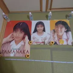 山中すみか アイドルポスター 3枚セット