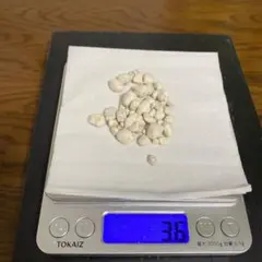 Item thumbnail for item cba97b61-c9cf-435d-9be0-7c7deadb69d6