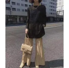 【美品】ameri ADELA SHEER TOP ブラック