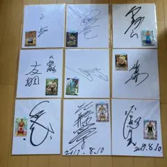 大相撲　サイン色紙　白鵬　鶴竜　霧馬山　他