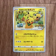 最安値【匿名配送】PSA10 救助隊DXのピカチュウ 036/S-P PSA10鑑定済〕救助隊DXのピカチュウ【P】{036/S-P}