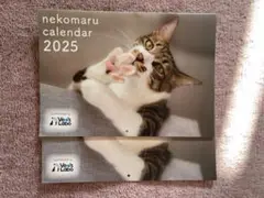 ネコまる　付録　カレンダー2025
