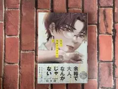 先生、我慢できません 2 限定版 ⚠️小冊子無し