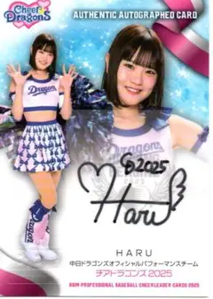 Item thumbnail for item e42e7092-9fd9-4ded-a725-930d280ed6c0