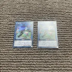 幻獣機アウローラドン　2枚