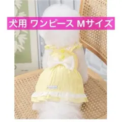Item thumbnail for item 0092213f-35aa-440a-a0ce-361615f1488c