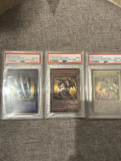 2025年最新】三幻神 ステンレス psa10の人気アイテム - メルカリ