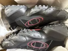 Oakley edge flex
