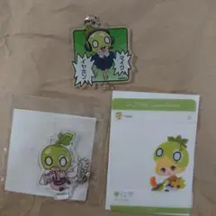 Dr.STONE スイカ 福くじ カジュアルキッチン