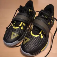 Item thumbnail for item 782815d4-9480-4b48-bae1-1b326fe78daf