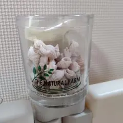 【期間限定値下げ】テラリウムキット　浜辺ver.