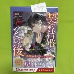 契約結婚のその後 ～追い出した夫が私の価値を知るまで～