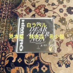 氷室京介/DEAR ALGERNON/レコード/見本盤/非売品/希少盤/美盤