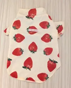 Item thumbnail for item 3ac7d90b-3608-4f91-bb5c-95a3f97403cd