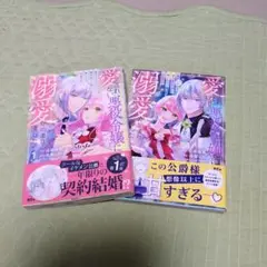 愛されない悪役令嬢に転生したので開き直ったら、何故だか溺愛が始まりました