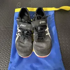 ソニックスカイプロ