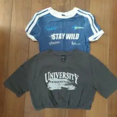 Dazy & SHEIN クロップドTシャツセット