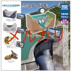 ガチャ　立体カプセル百科事典 黒部ダム図鑑　タカラトミーアーツ　全5種類　セット