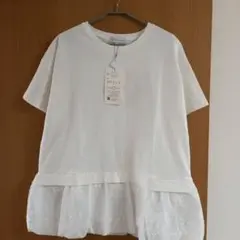 Item thumbnail for item a7a2f216-cb0b-4fef-9302-99020b2270d7