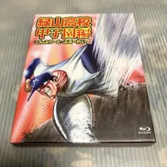 緑山高校 甲子園編 DVD-BOX〈初回受注限定生産・6枚組〉 Amazon.co.jp: 緑山高校 甲子園編 DVD-BOX : 池田成, 千葉繁