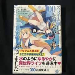 スライム倒して300年、知らないうちにレベルMAXになってました(15)